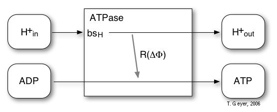 ATPase