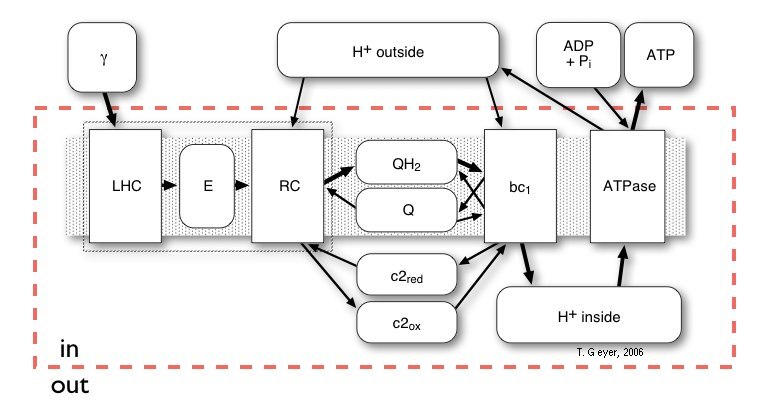 network overview